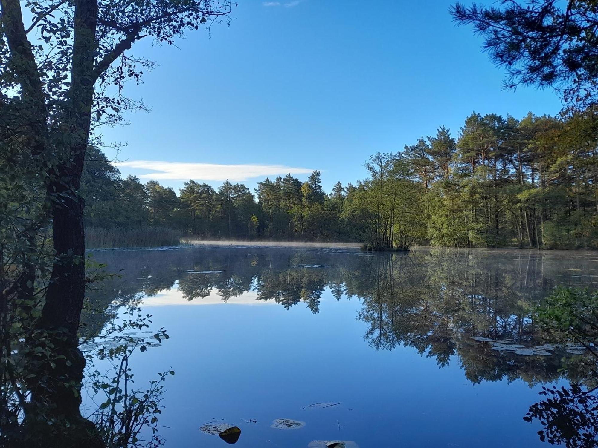 Sosnowka - Domki Nad Morzem Kopalino Eksteriør bilde